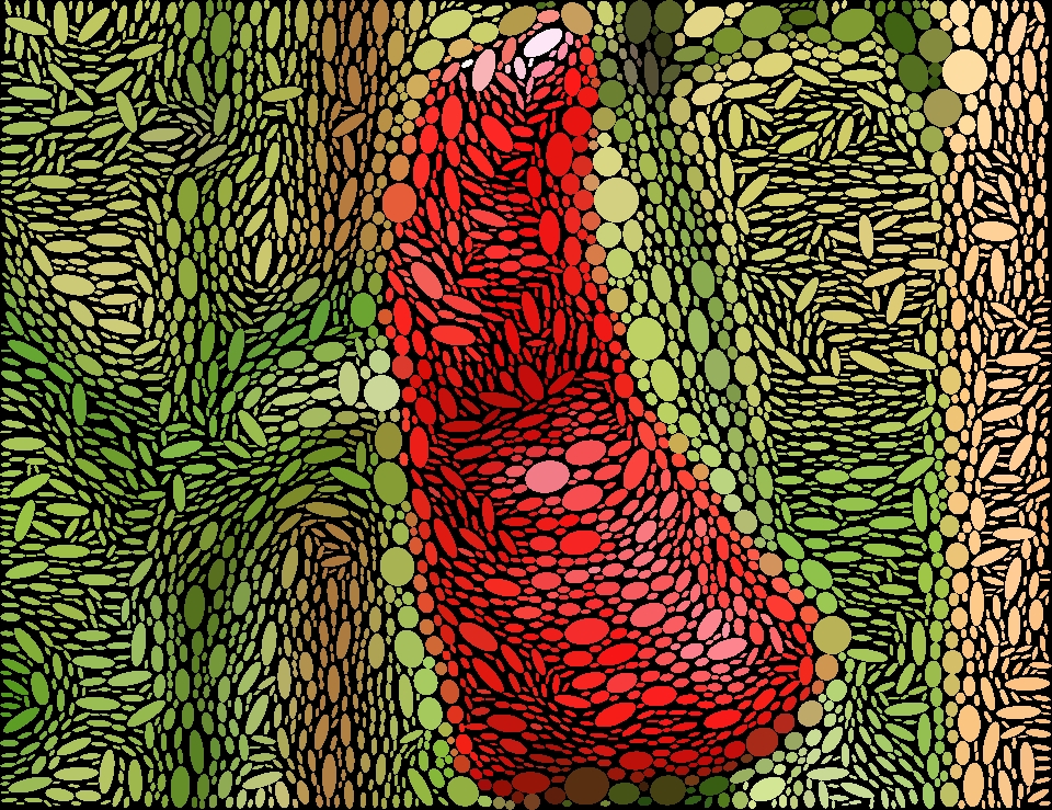 Chilli on a vine packed Ellipses