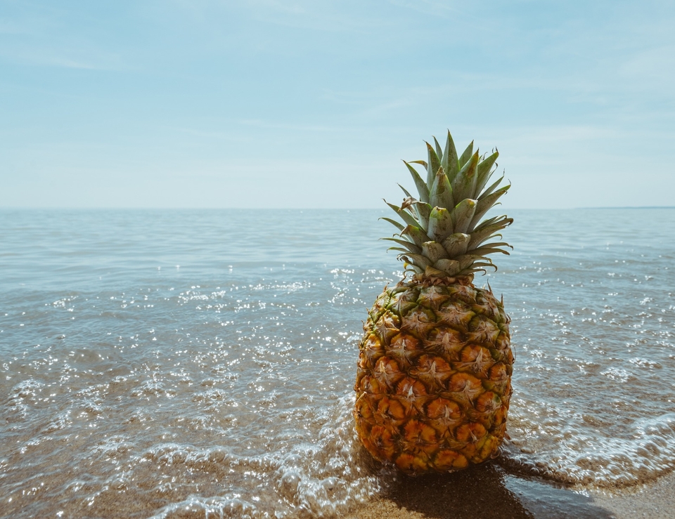 pineapple by the ocean